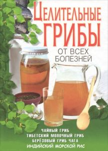 Целительные грибы от всех болезней.Чайный гриб,тибетский молочный гриб,берёзовый гриб чага, индийский морской рис (Карманная библиотека) (книга)