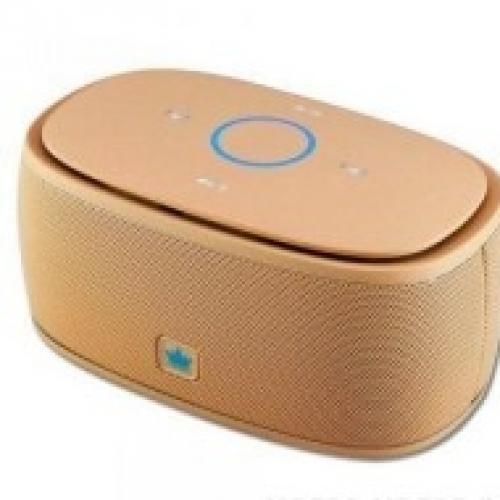 Беспроводная колонка Kingone K5 Gold