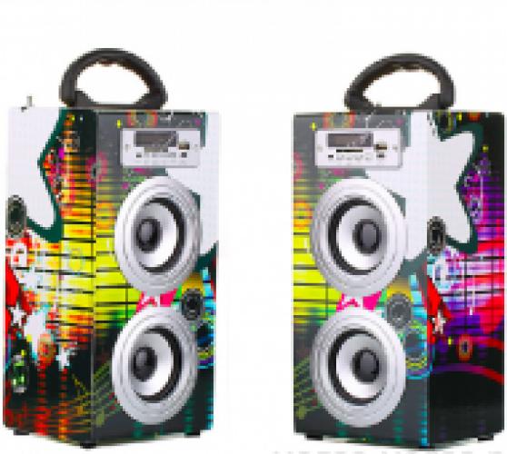 Беспроводная колонка Miniseas Duo Stars с радио, флешкой, usb