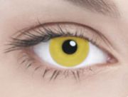  Линзы Solid Yellow