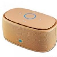 Беспроводная колонка Kingone K5 Gold