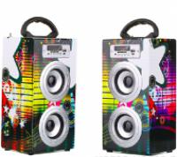 Беспроводная колонка Miniseas Duo Stars с радио, флешкой, usb