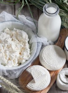 Секреты русской кухни. Молоко. Сыр. Творог. (книга)