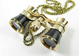 Театральный бинокль 3х25 черный с золотом ―   внешние аккумуляторы объективы и моноподы для селфи гаджеты  налобные фонари кемпингов фонари, power bank, лазерные указки, диско шары, диско лампы, умные лампы, театральные бинокли зарядки телескопы   наушники чехлы оптические прицелы  наборы выживания ножи охотничьи 8(495)642-32-56         1734@bk.ru 